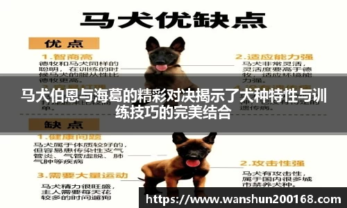 ok138太阳成集团